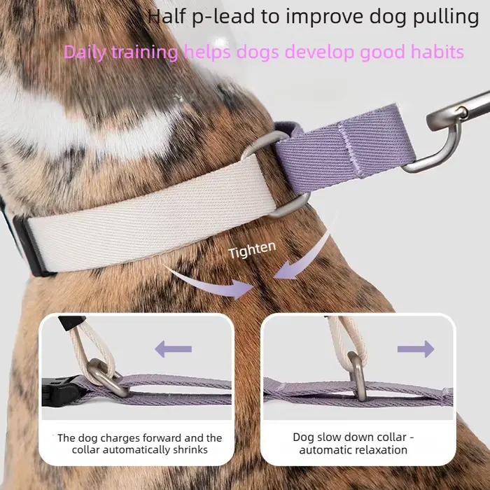 Collier anti-traction semi-élastique pour chiens de petite/moyenne/grande taille, tour de cou réglable 25-62 cm, verrou de sécurité, léger