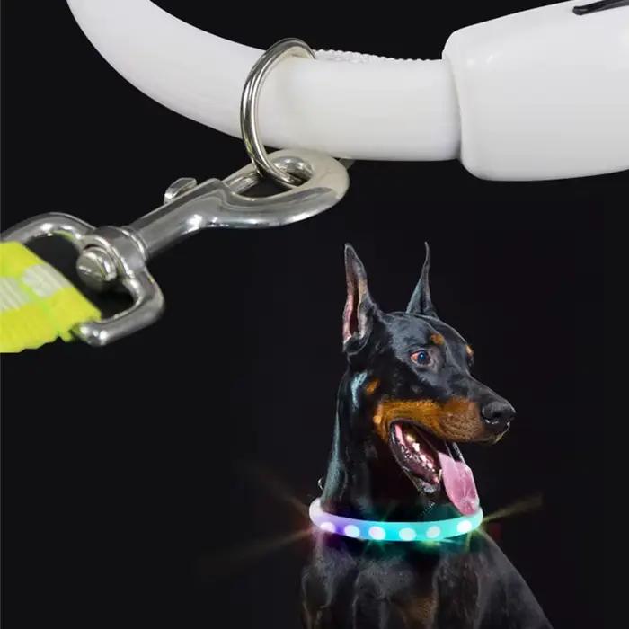 Collier de chien Rechargeable USB avec boucle D, lumière LED, collier lumineux de sécurité nocturne pour animaux de compagnie, collier clignotant lumineux, harnais Anti-perte