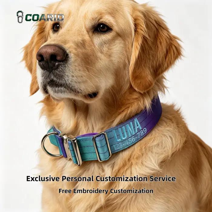 Collier pour chien personnalisé - Couleur dégradée personnalisée avec nom et numéro de téléphone brodés pour l'identification de l'animal