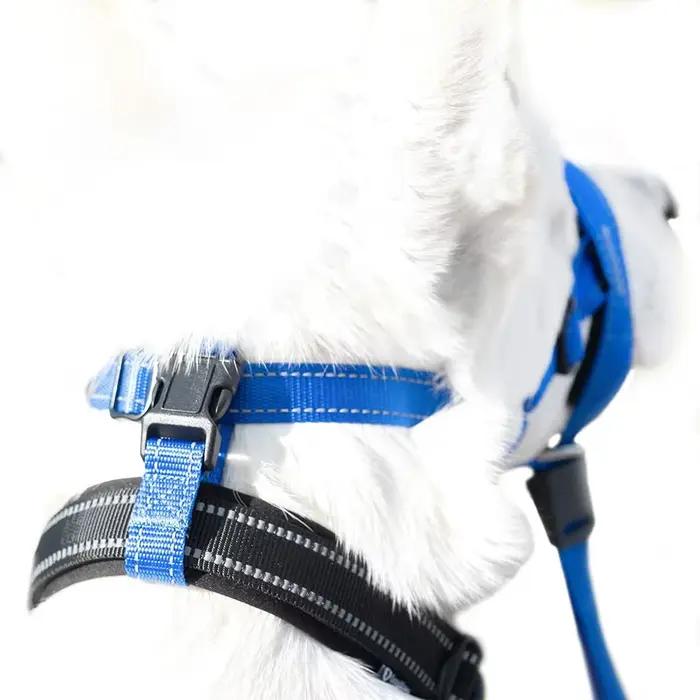 Créatif chien licou Halti formation tête collier doux Leader harnais en Nylon détachable toutes les saisons utile harnais plomb chaud