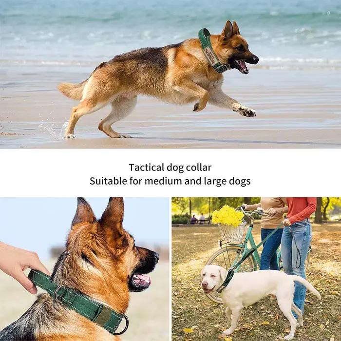 Collier pour chien tactique robuste à Double boucle, collier pour chien de qualité militaire avec poignée pour chiens moyens et grands