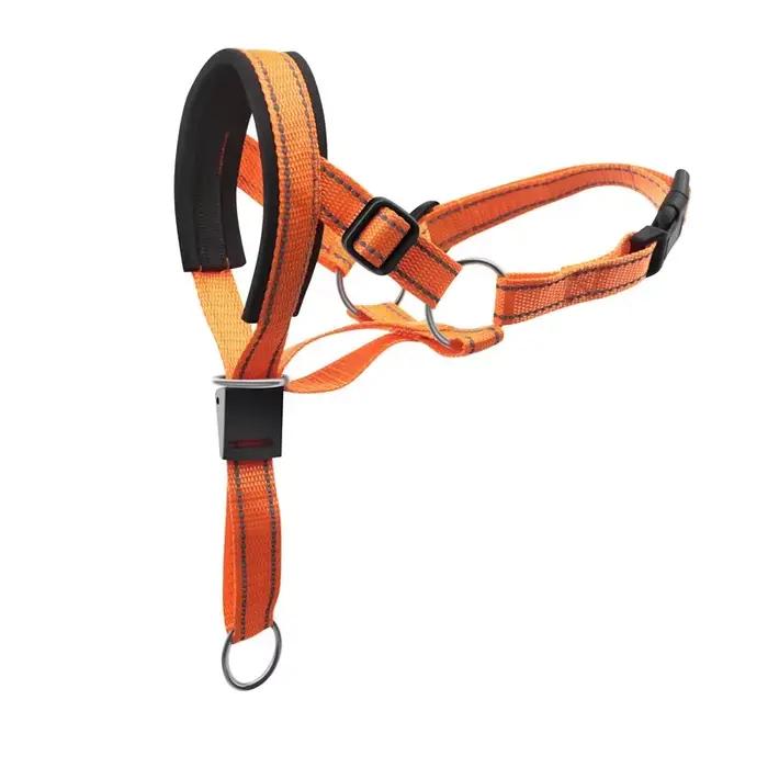 Créatif chien licou Halti formation tête collier doux Leader harnais en Nylon détachable toutes les saisons utile harnais plomb chaud
