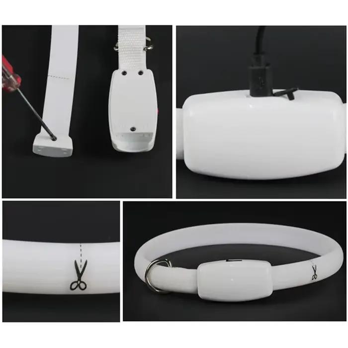 Collier de chien Rechargeable USB avec boucle D, lumière LED, collier lumineux de sécurité nocturne pour animaux de compagnie, collier clignotant lumineux, harnais Anti-perte