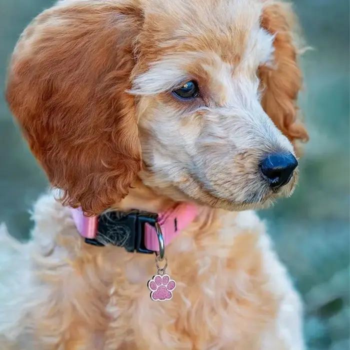 Étiquettes de plaque personnalisées gratuites pour chien et chat, nom d'identification pour chiot gravé, pendentif patte en alliage à paillettes, accessoires pour animaux de compagnie et chiens