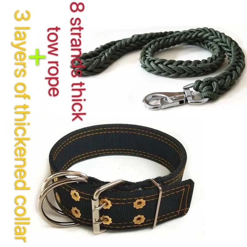 Collier de chien SFP pour grand chien, Pit Bull, gros chien, laisse, glaCollar, produits pour animau