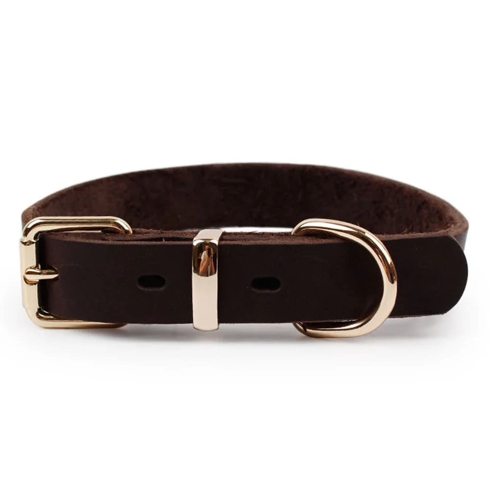 Collier en cuir véritable pour chien, anneau en D, avec boucle en alliage doré de qualité supérieure