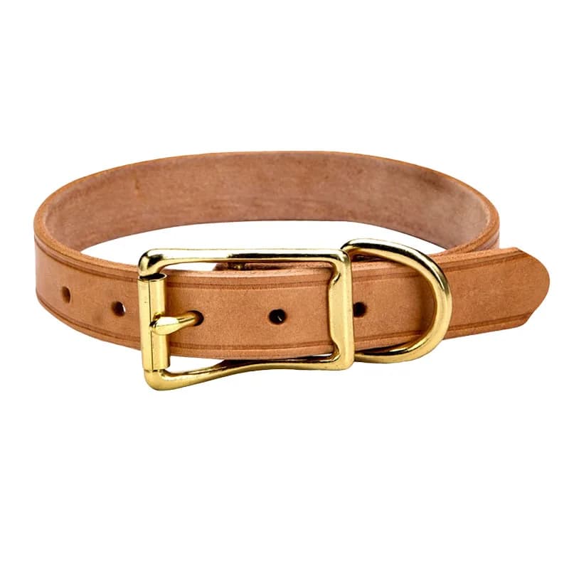 Collier pour chat et chien en cuir véritable, collier pour chiot, sangle réglable pour le cou du chi