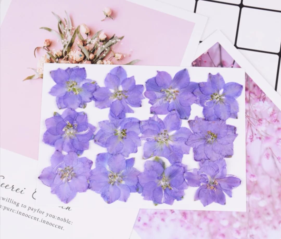Plante de fleurs d'ajabis séchées, 120 pièces, herbium pour bijoux, maquillage du visage, carte post