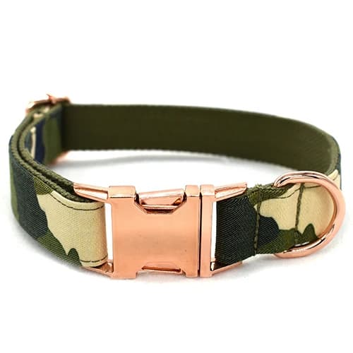 Collier de chien avec sécurité réglable, colliers en nylon, petit, moyen, grand, vert armée, CamSolo