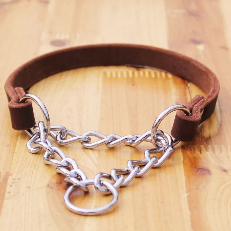 Collier en cuir véritable pour chien, chaîne antidérapante, pour animaux de compagnie, en acier inox
