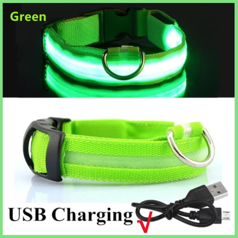 Collier lumineux rechargeable par USB, collier LED réglable pour chiens de grande et petite taille, 