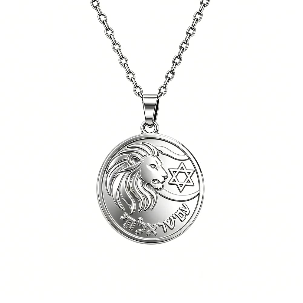 Collier pendentif Lion Étoile de David, gravé en hébreu, amulette Lion de Juda, bijoux religieux jui