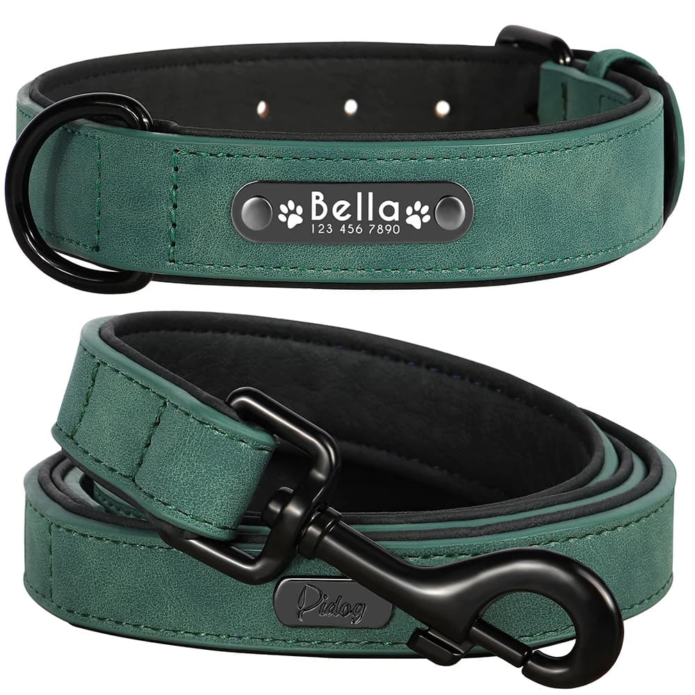 Ensemble de laisse de collier de chien personnalisé, colliers de chien en cuir PU, collier pour anim