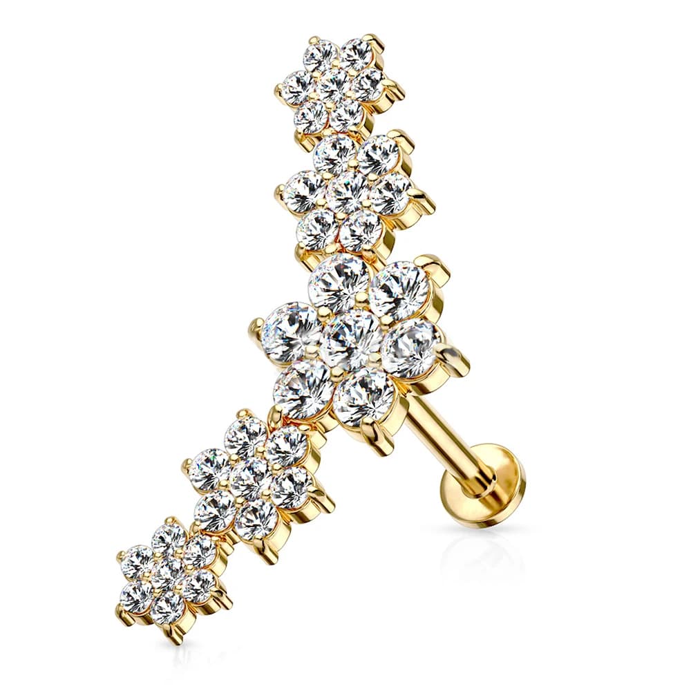 Boucle d'oreille piercing labExamen cinq fleurs, goujon 147 us cartilage, hélice avant, acier inoxyd