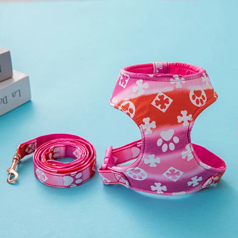 Harnais pour chien de luxe de styliste, ensemble de poitrine et de dos pour animaux de compagnie, pe