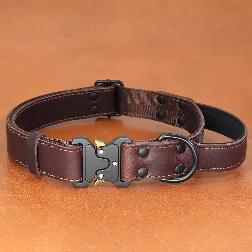 Collier de chien en cuir véritable souple, cuir véritable, colliers durables avec structure sûre, po