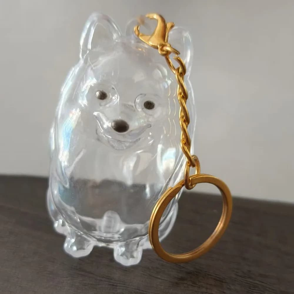 Boîte de rangement de poils de chien en forme de chien, porte-clés Transparent pour toilettage de ch