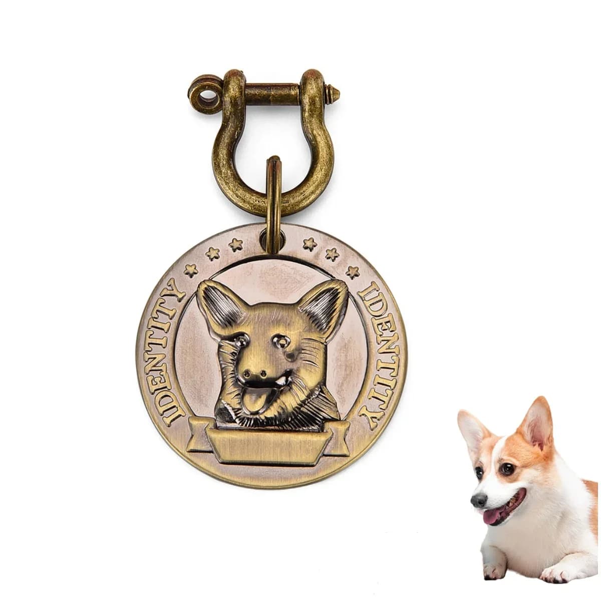 Étiquette d'identification pour animaux de compagnie VIP, personnalisable, gravée, pour chien, chat,