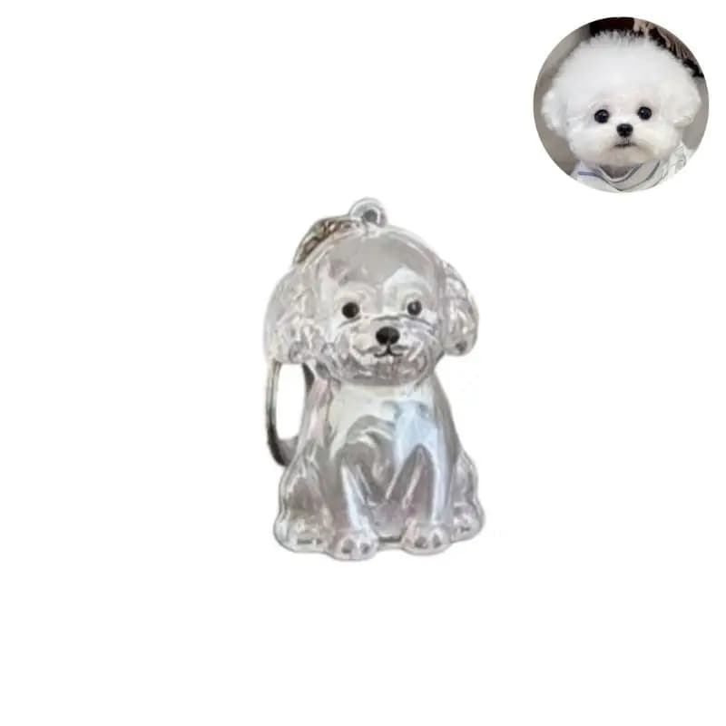 Pendentif de sac chic présentant une capsule transparente pour garder les poils de chien ; une optio