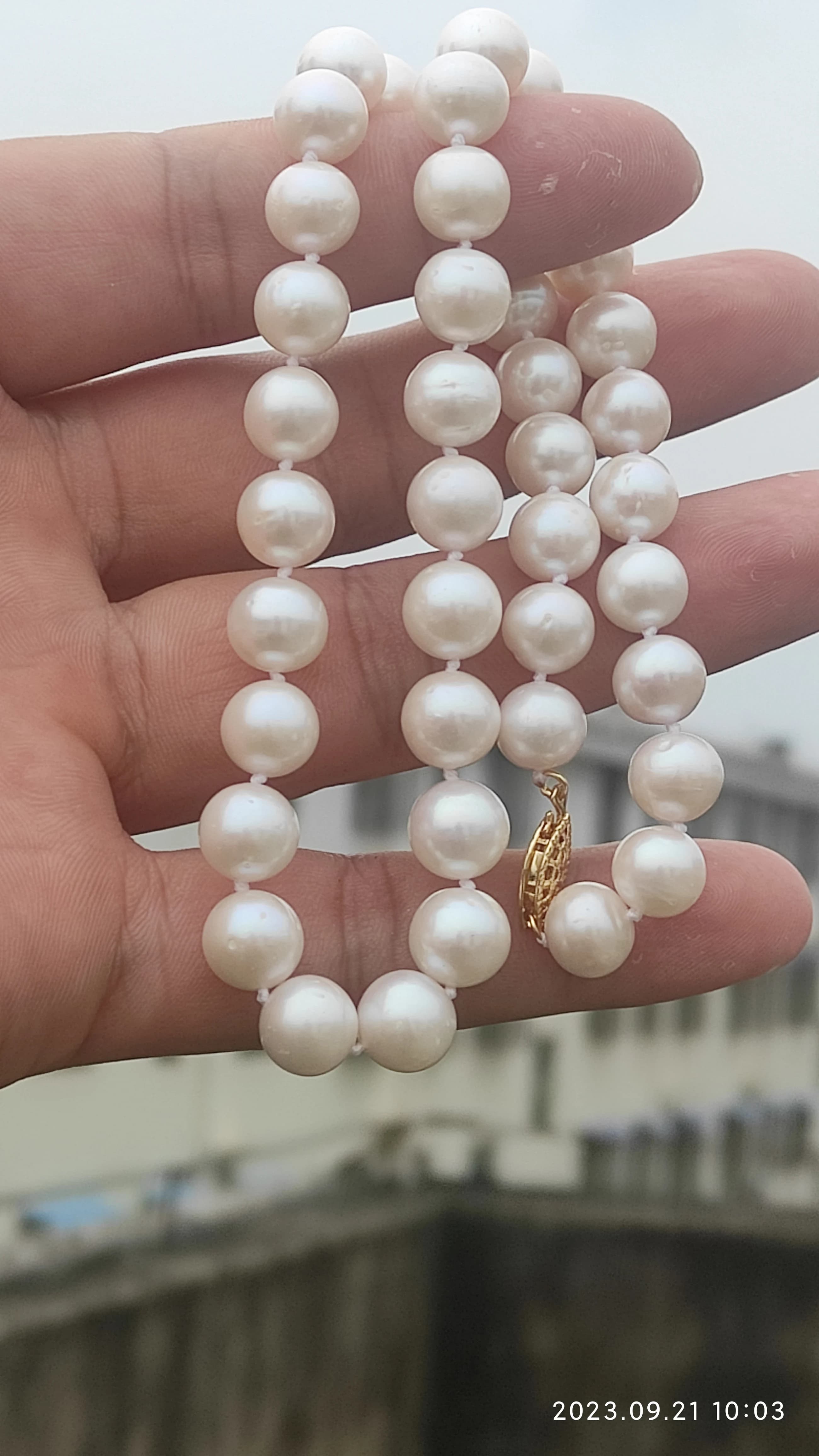 Collier de perles blanches Akoya naturelles circulaires AAA++++8-9mm, 18'