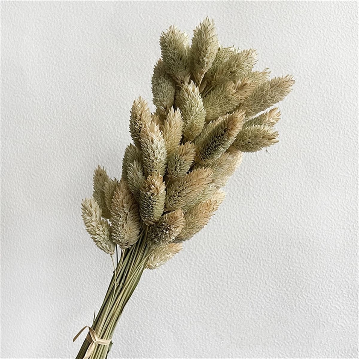 Bouquet de Fleurs vaccées Naturelles, Vrais Bijoux, Plantes Sèches, Accessoires Photo pour la Maison