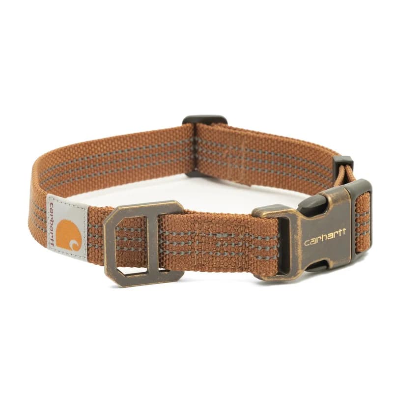 Laisse à crochet en laiton brossé pour animaux de compagnie, collier de chien résistant à l'usure, c