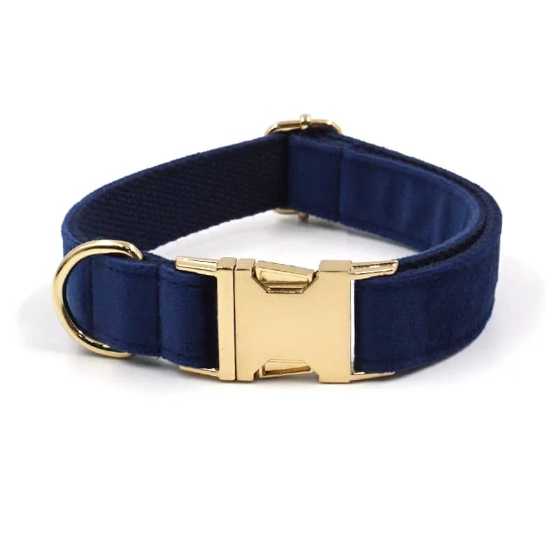 Collier de chien personnalisé en velours bleu marine, collier de chien de créateur de luxe, laisse d