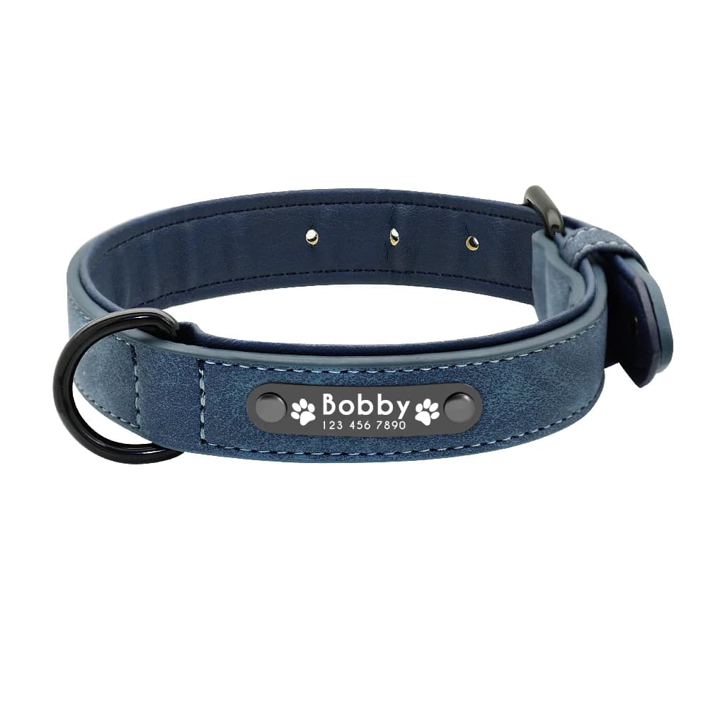 Laisse de collier de chien en cuir, colliers et laisses personnalisés et durables pour animaux de co
