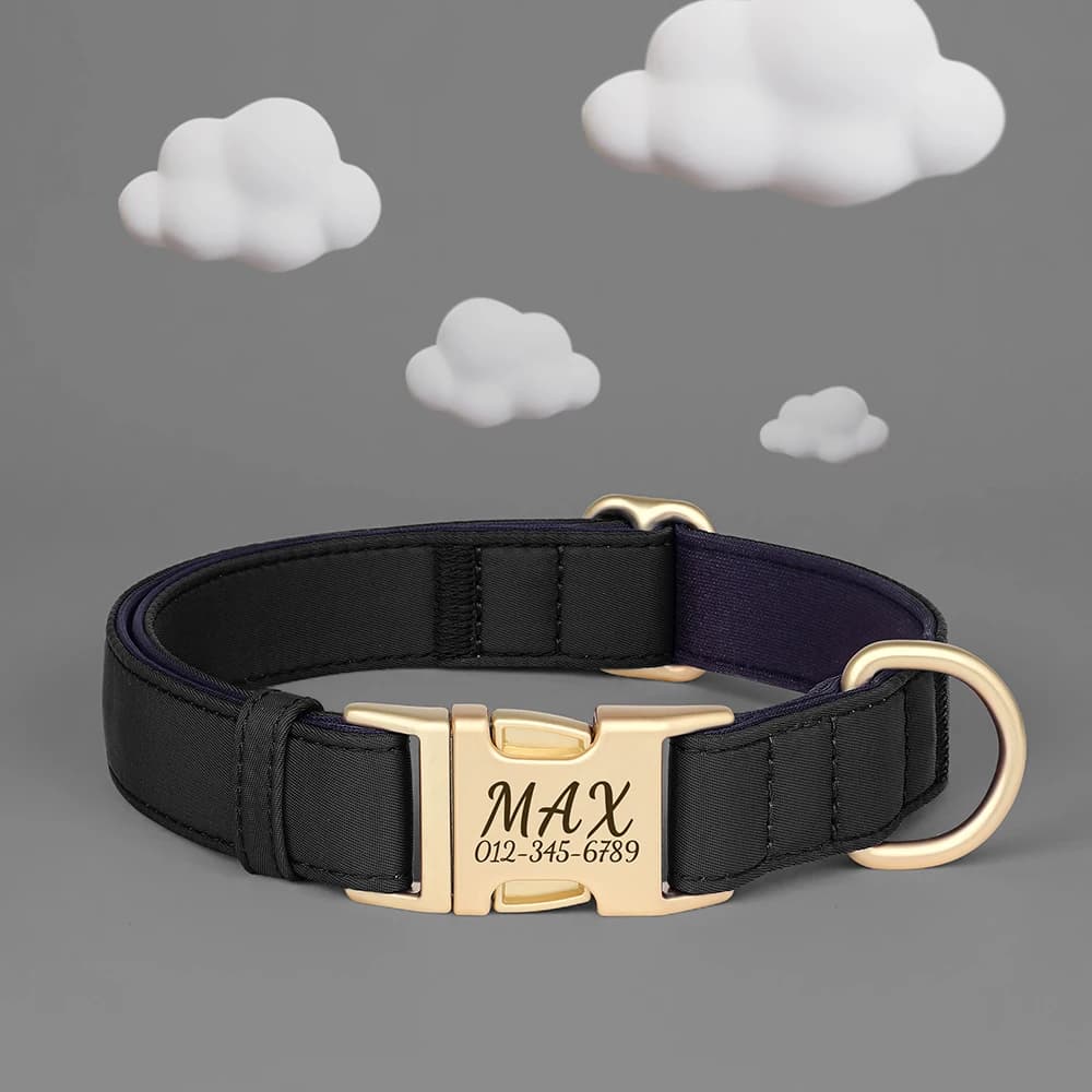 Collier pour chien personnalisé, colliers à boucle pour chiens personnalisés, collier pour animaux d
