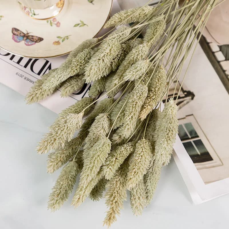 Bouquet d'herbe naturelle séchée, 100 pièces, décoration de mariage à domicile, plante sèche, bijoux