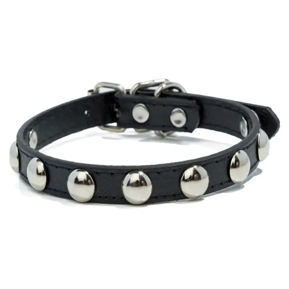 Collier de chiot en cuir coloré pour animaux de compagnie, colliers cloutés pour petits chiens, chat