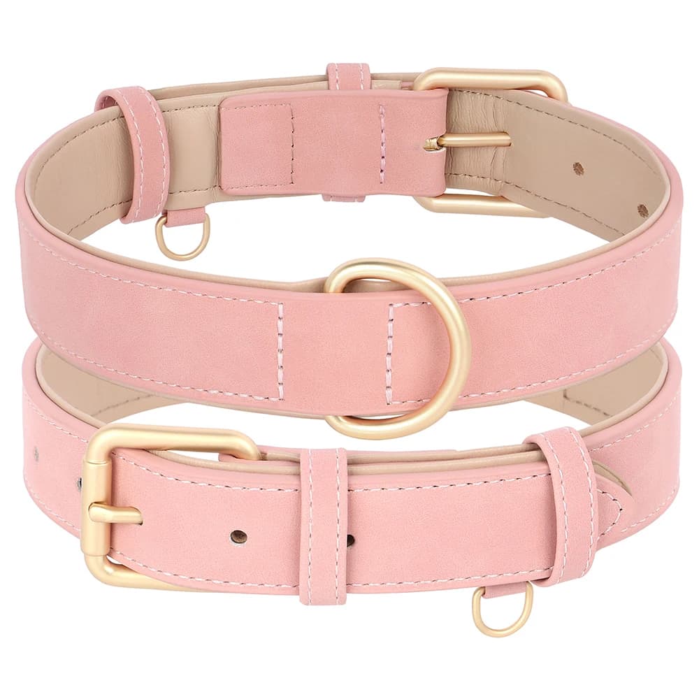 Ensemble de laisse de collier de chien rembourré doux collier de colliers de chien de compagnie en c