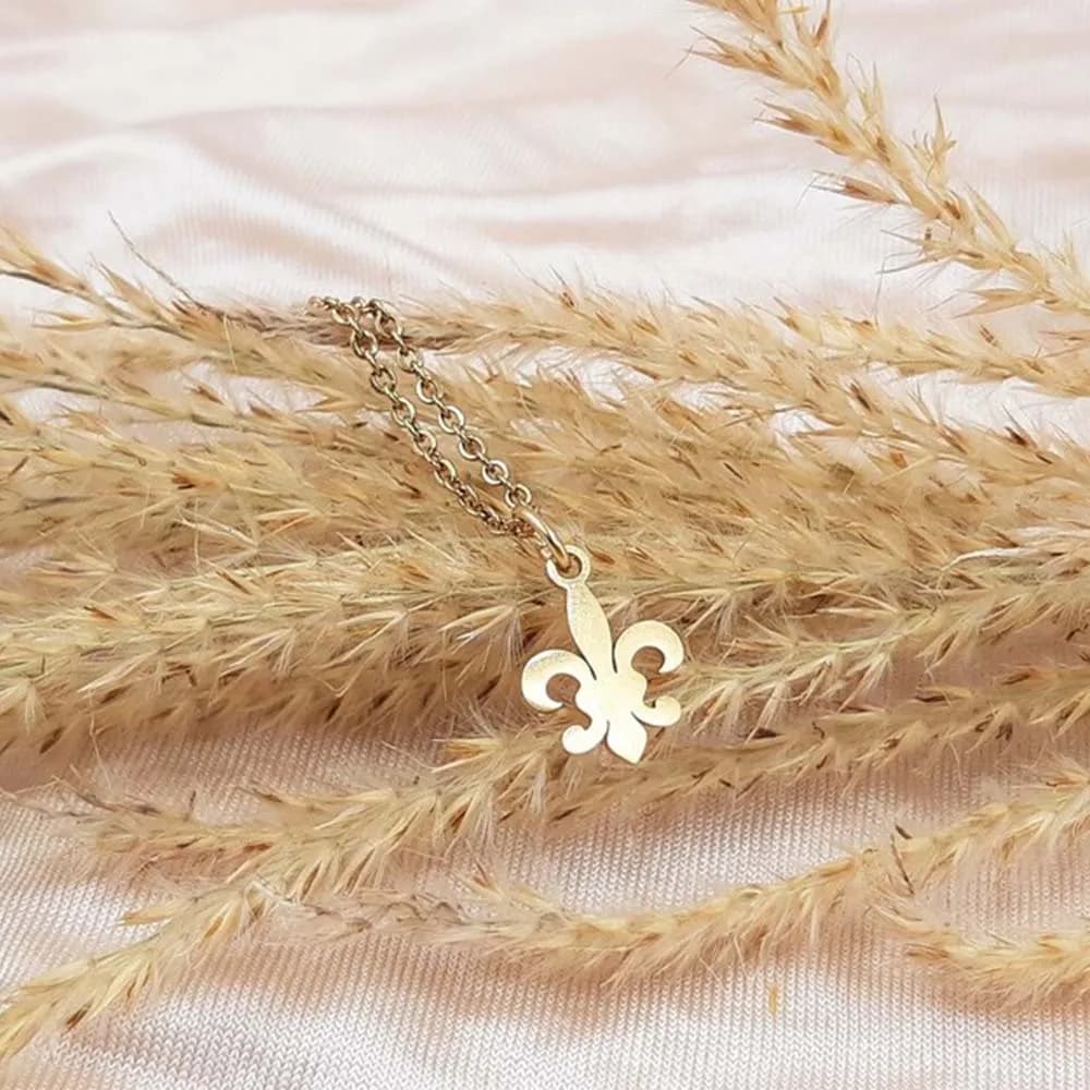 Collier Fleur De Lis pour Femme, Acier Inoxydable, Pendentif Fleur, Lys, Saint Nicolas, Annie Cathol