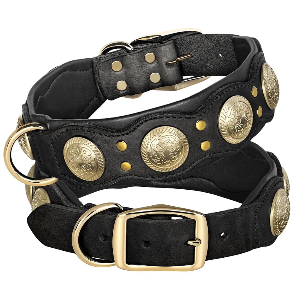 Collier de chien en cuir véritable Durable colliers cloutés à pointes Cool pour chiens de taille moy