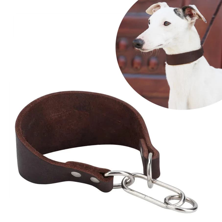 Collier en cuir pour animaux de compagnie, petit collier pour chien, Durable, Portable, élargi, pour