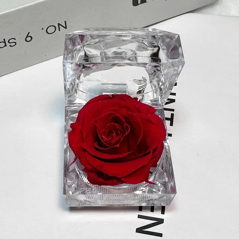 Boîte à bijoux en acrylique transparente avec rose éternelle préservée, coffret cadeau Saint-Valenti