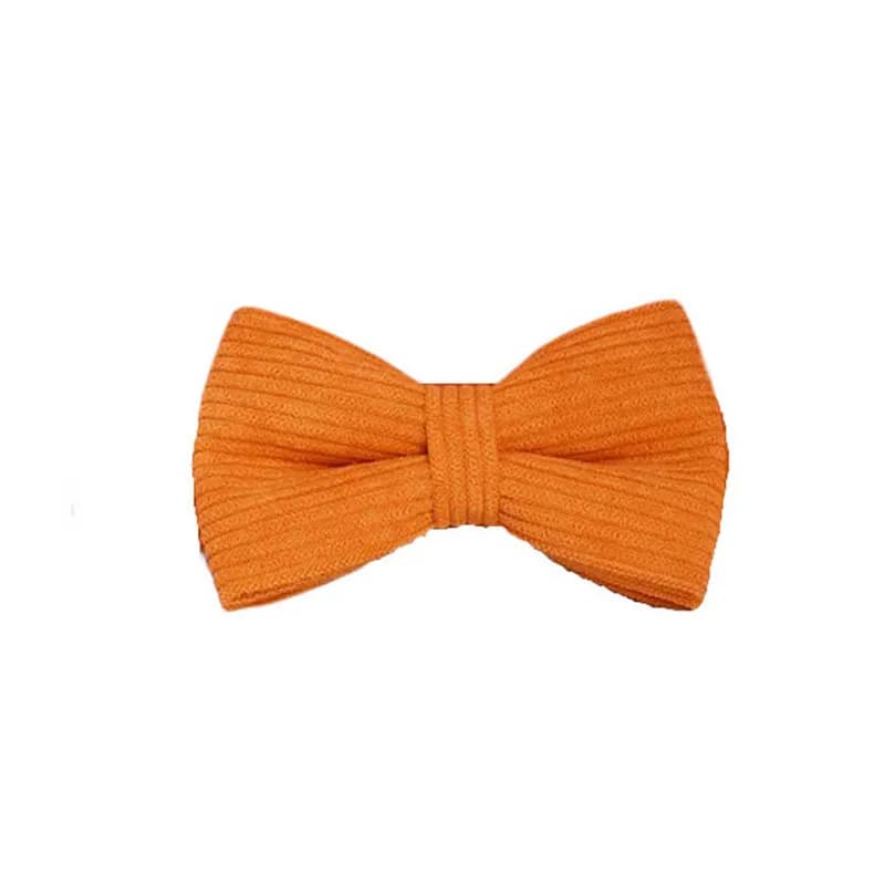 Ensemble collier et laisse pour chien en velours côtelé orange, plaque nominative gravée sur mesure,
