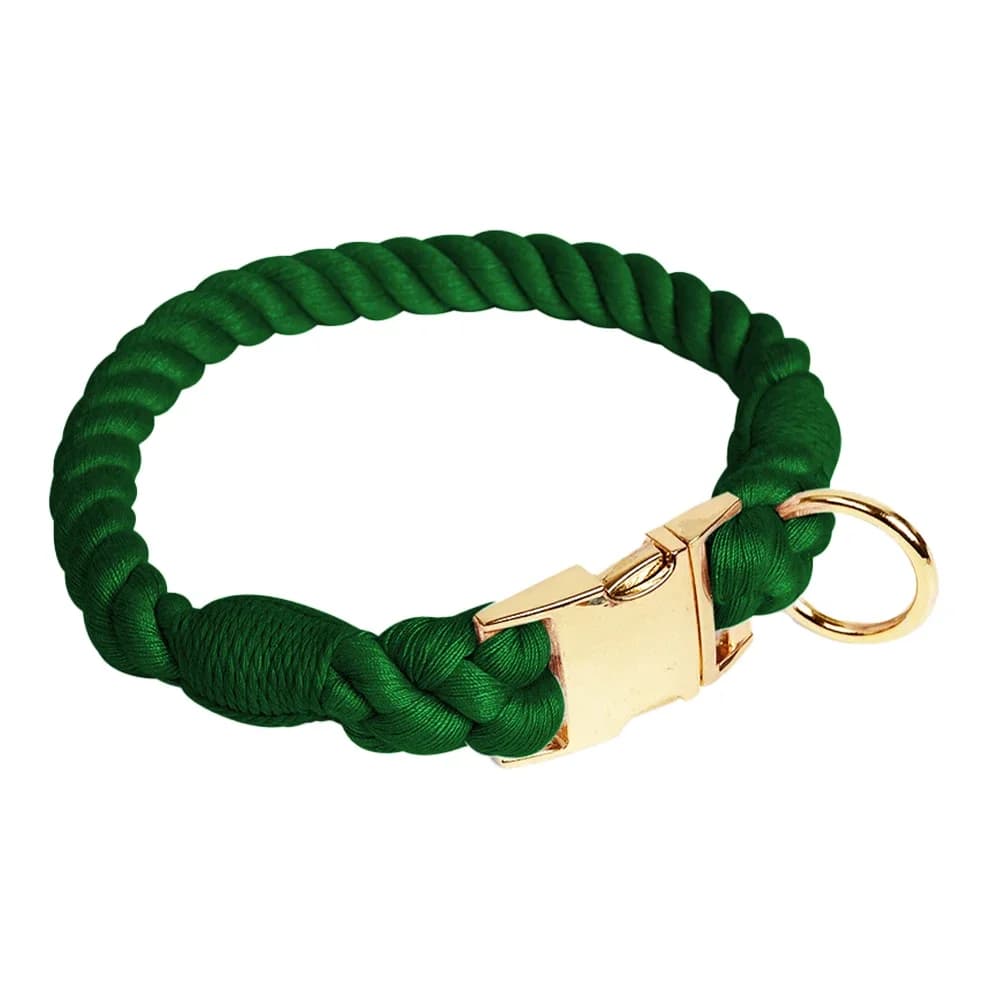 Collier pour chien couleurs acidulées, collier pour animaux de compagnie en coton polyester avec bou