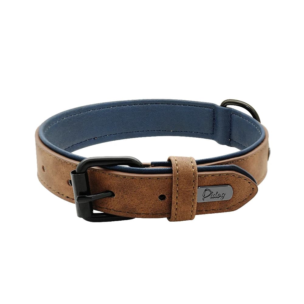 Grand collier rembourré en cuir véritable pour chien, accessoire pour animaux de compagnie, robuste,