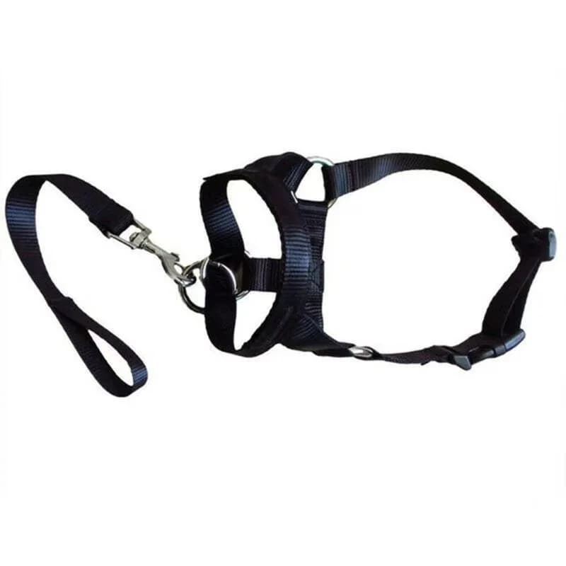 Collier pour chien muselière licou entraînement laisse pour chien Leader collier classique réglable 