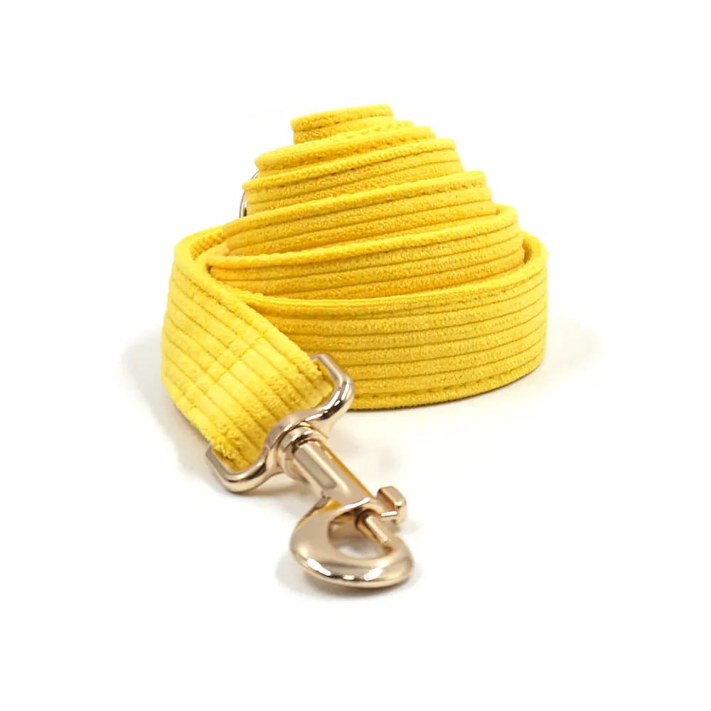 Collier de chien personnalisé collier pour animaux de compagnie gravure gratuite identification nom 
