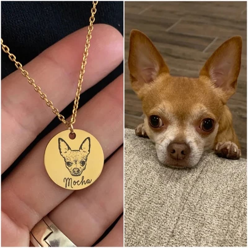 Collier personnalisé avec disque Photo d'animal de compagnie pour femmes, pendentif avec nom de petit chat et de chien, bijoux personnalisés en acier inoxydable 316L