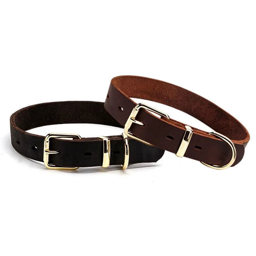 Collier en cuir véritable pour chien, anneau en D, avec boucle en alliage doré de qualité supérieure, réglable, petit et grand gabarit