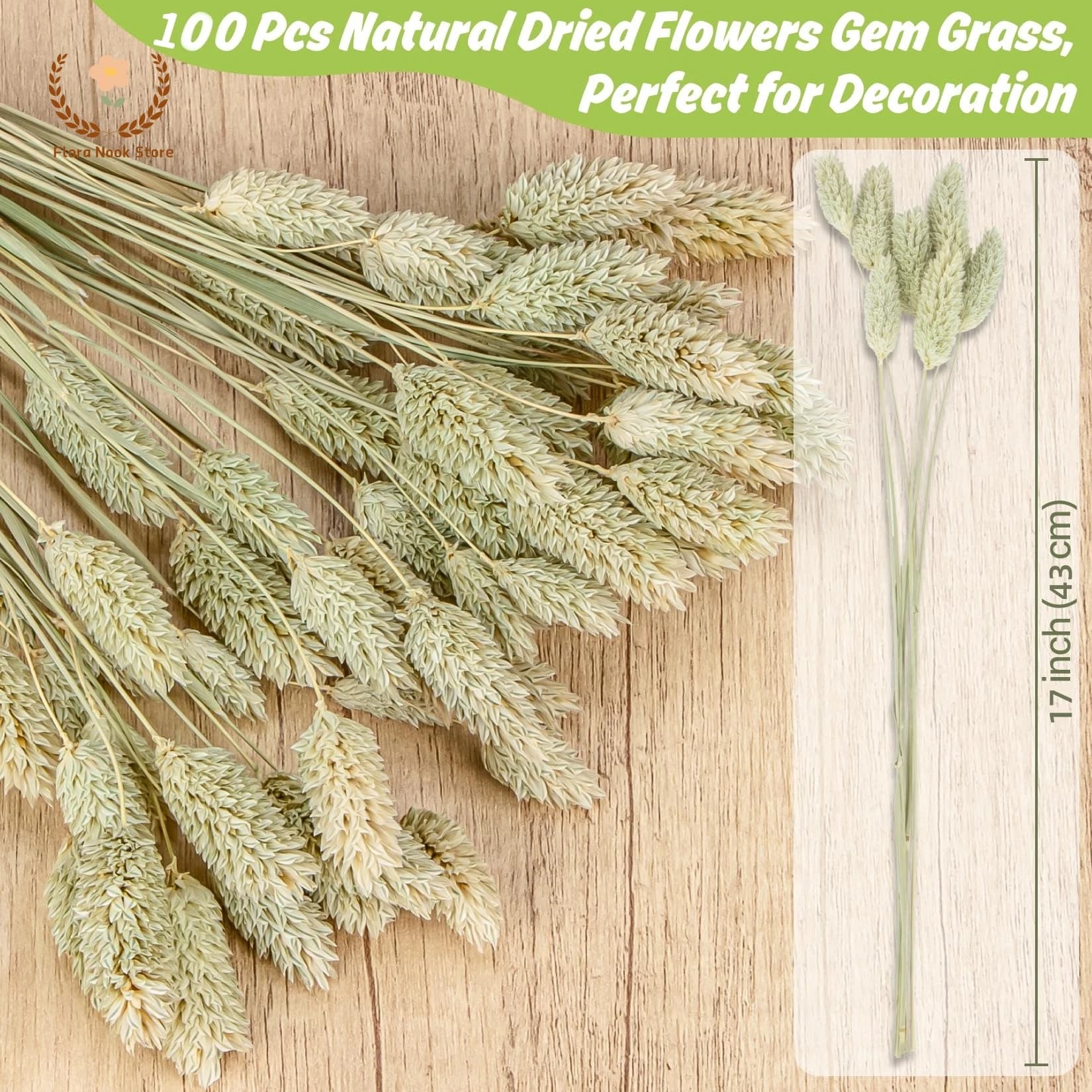 Bouquet d'herbe naturelle séchée, 100 pièces, décoration de mariage à domicile, plante sèche, bijoux, fleur préservée Phalaris, décor de Table à faire soi-même