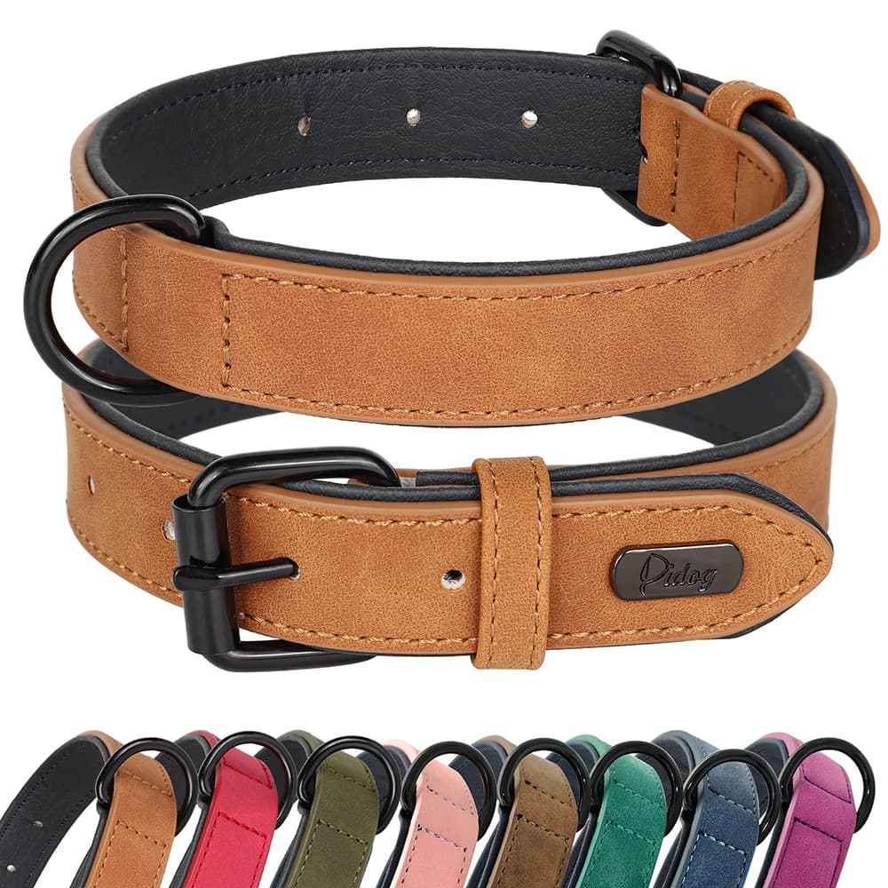 Grand collier rembourré en cuir véritable pour chien, accessoire pour animaux de compagnie, robuste, doux, pour grands chiens Rottweiler Labrador Pitbull