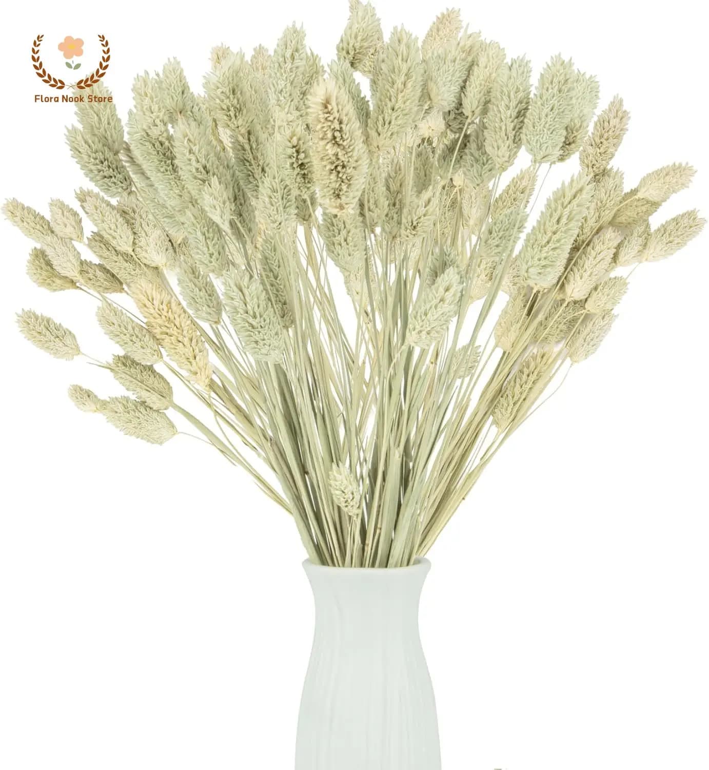 Bouquet d'herbe naturelle séchée, 100 pièces, décoration de mariage à domicile, plante sèche, bijoux, fleur préservée Phalaris, décor de Table à faire soi-même