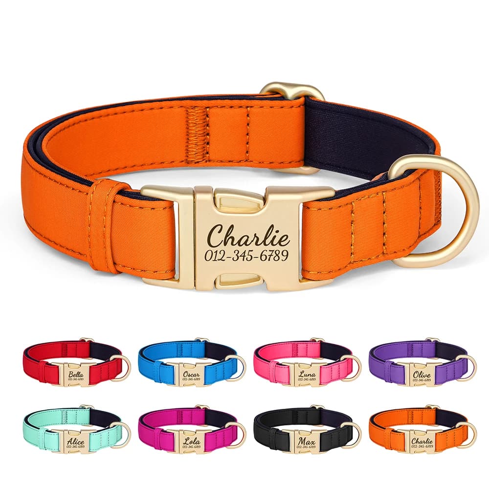 Collier pour chien coloré colliers pour chien en Nylon personnalisés collier pour animaux de compagnie Durable avec 8 couleurs rembourrées pour petits et grands chiens nouvelle gravure