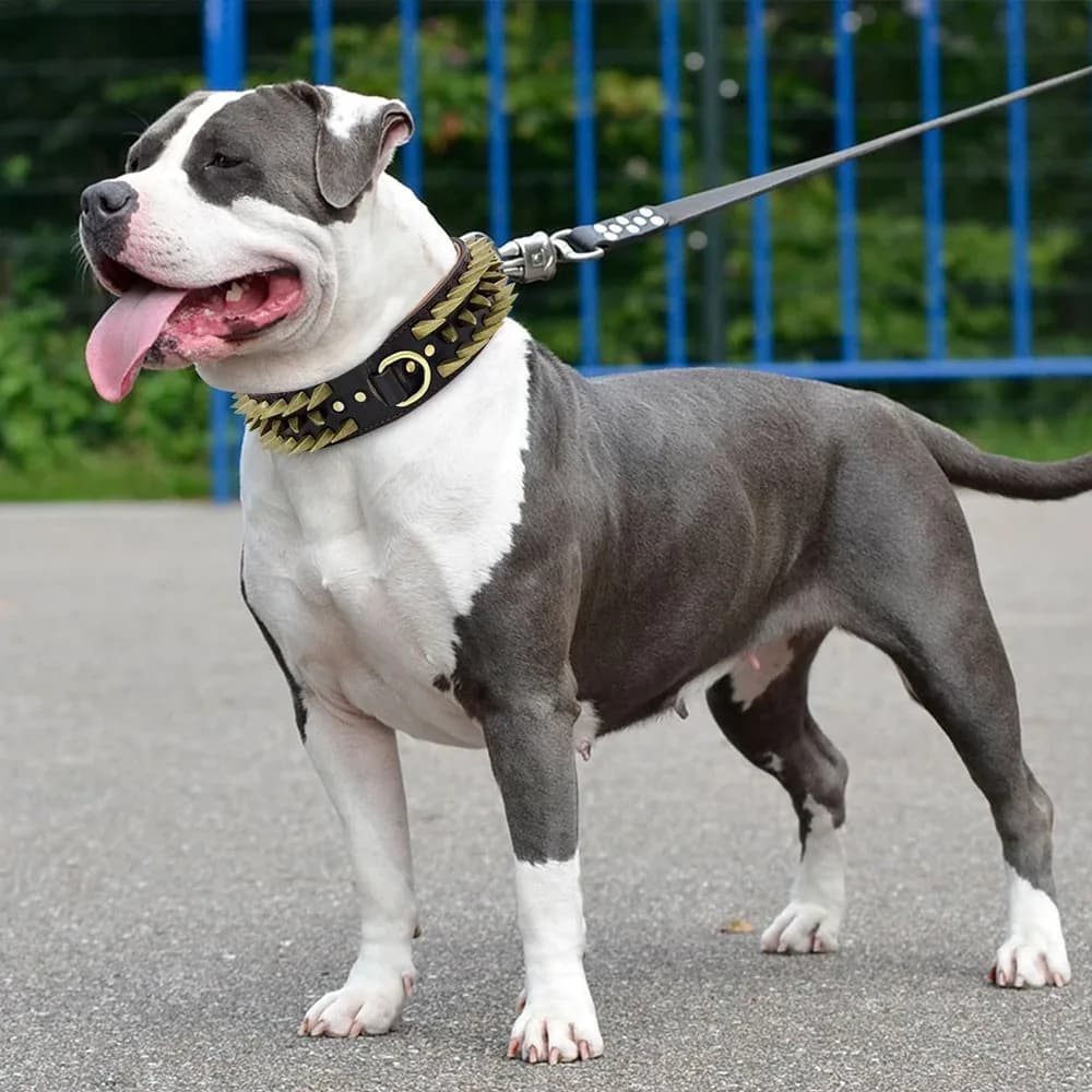Collier de chien en cuir de luxe, collier vintage en cuir de vache véritable pour animaux de compagnie, clou pointu fait à la main, cou de chien, accessoires pour grands chiens