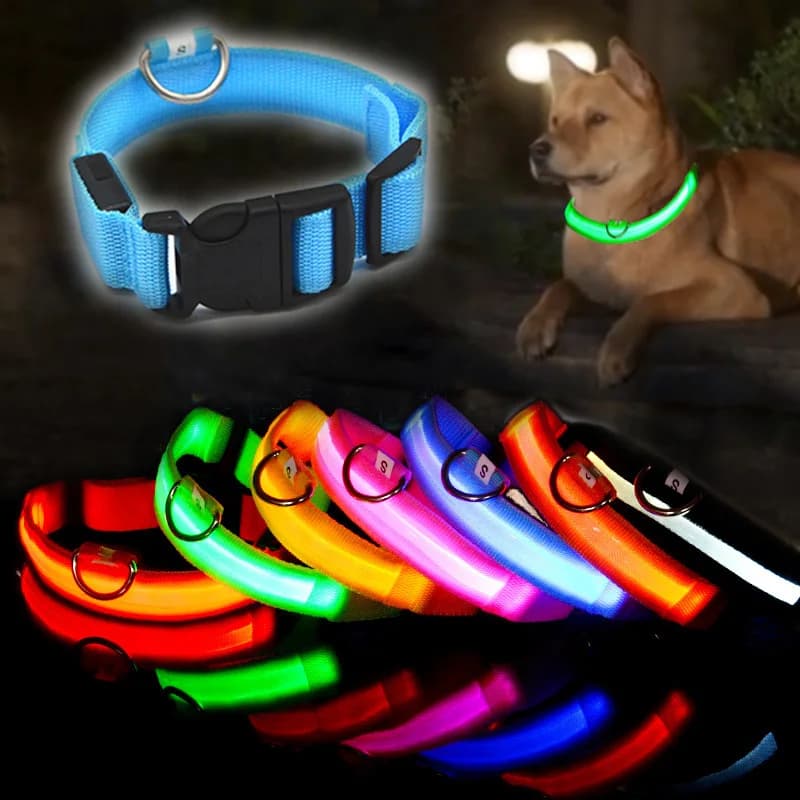 Collier de chien éclairé par LED, lumières clignotantes réglables, Rechargeable par USB, adapté aux petits, moyens, grands, harnais de sécurité pour animaux de compagnie