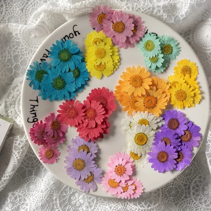 Plantes de fleurs sèches de marguerite séchées pressées, 120 pièces, pour pendentif en résine époxy, collier, fabrication de bijoux artisanaux, accessoires de bricolage